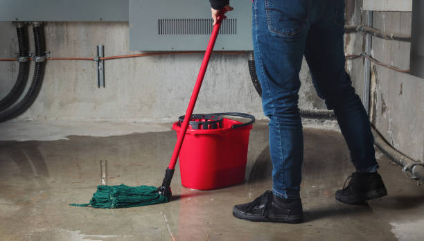 Best Sewage cleanup and water damage restoration  in Woodland, WA
