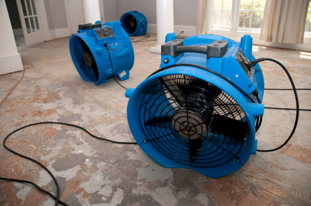 Best Commercial water damage restoration  in Woodland, WA