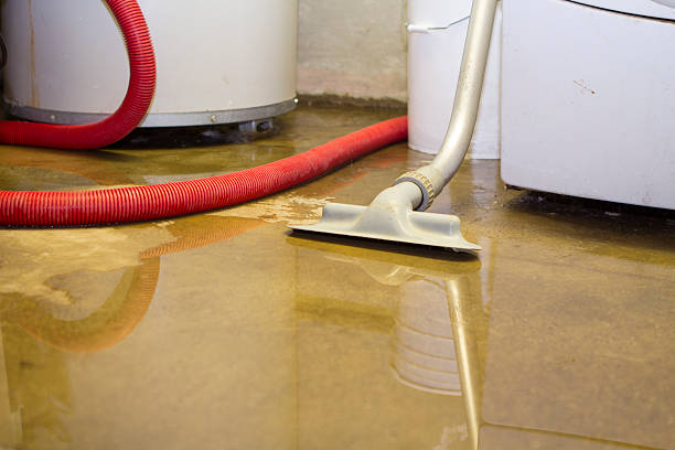 Water damage restoration mold remediation in WA