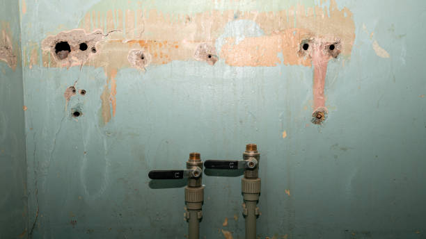 Best Flood restoration services  in Woodland, WA