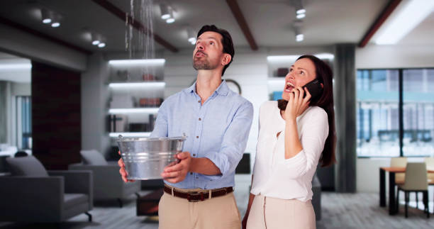 Best Flood damage cleanup  in Woodland, WA