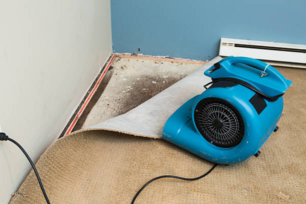 Best Water damage restoration near me  in Woodland, WA